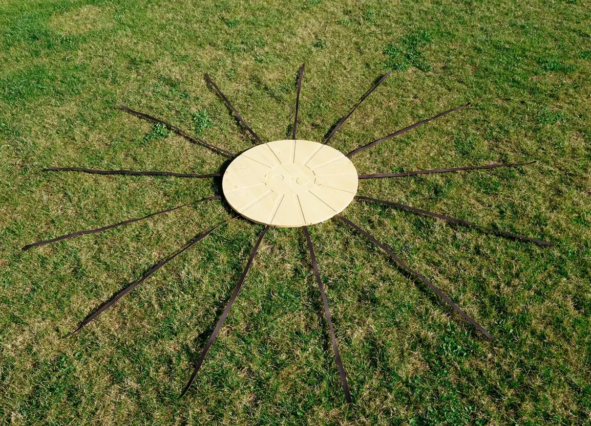 Facettenrad auf einer Wiese